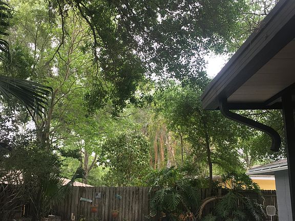 5th image of 4211 Briarberry Ln