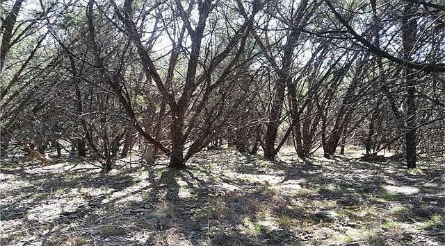1st image of 15 Mesquite Trl