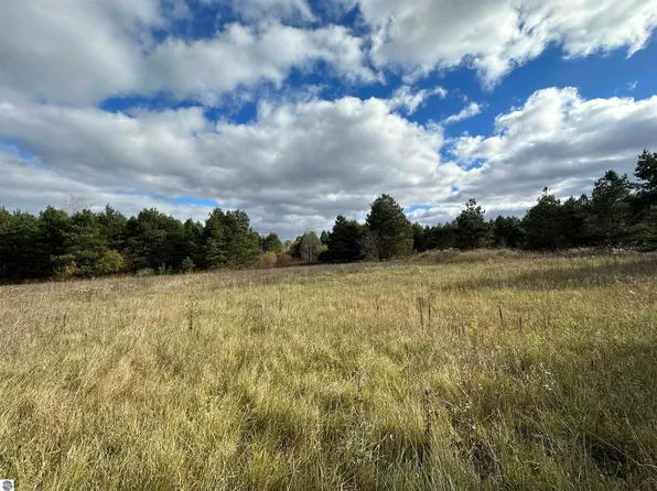 6946 N 33rd Rd, Manton, MI 49663