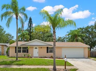 2978 Hanna Ct, Palm Harbor, FL 34684