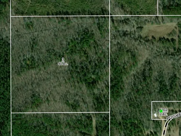 Pogue Rd, Eupora, MS 39744