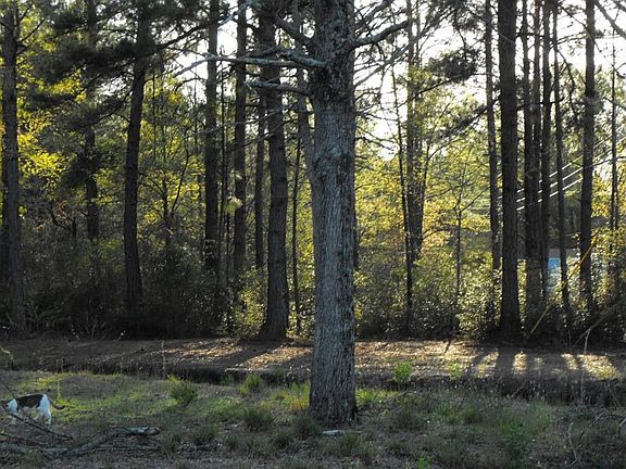 Approx 5 acres cleared; remaining are wooded.