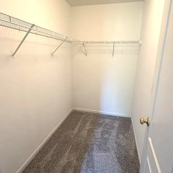 2932 Falling Waters Ln — Photo 22