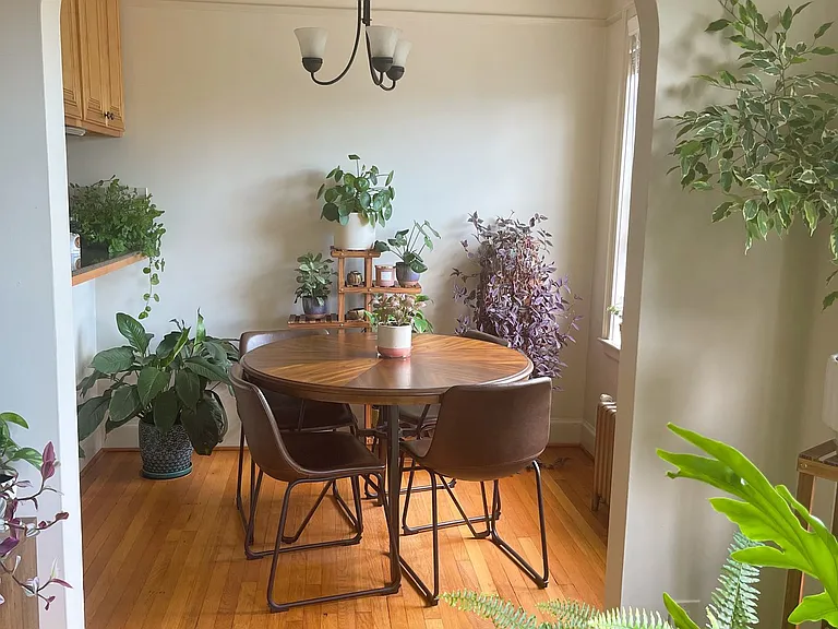 Mayflower Apartments — Photo 10