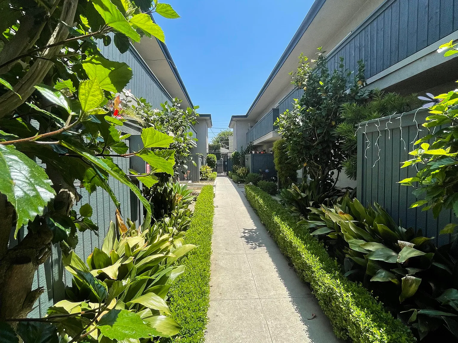 bun183 — Photo 3
