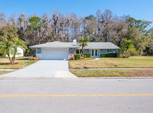 501 Lakeview Dr, Oldsmar, FL 34677