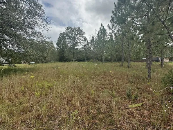 6 Stone Forest Trl Lot 6, Mc Henry, MS 39561