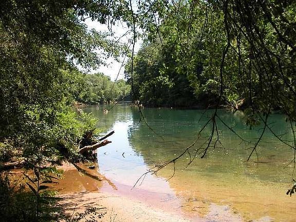 The 'Hooch in your back yard