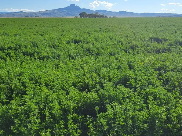 TBD Road 20, Powell, WY 82435