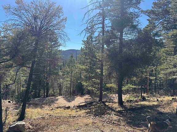 2nd image of 90 Black Forest Dr