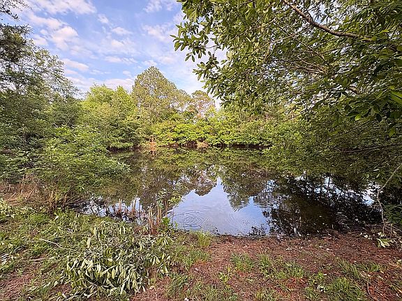 3rd image of 390 Taylor Springs Rd