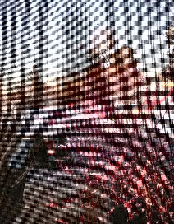 2nd image of 4300 Springhill Ave