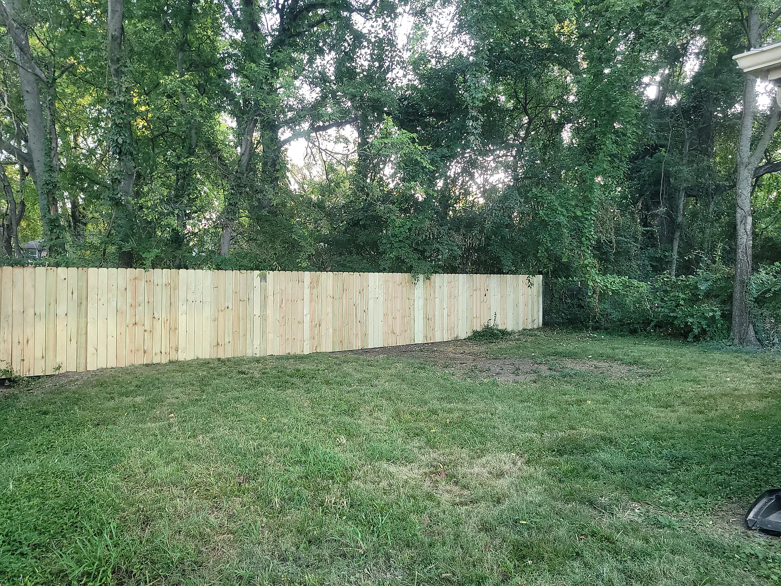 2 bed, 650 sqft, $1,095 — Photo 2