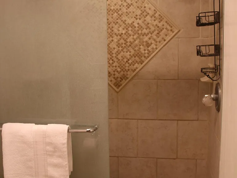 Master shower