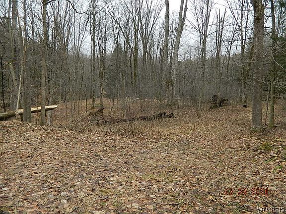 5th image of Olean Rd