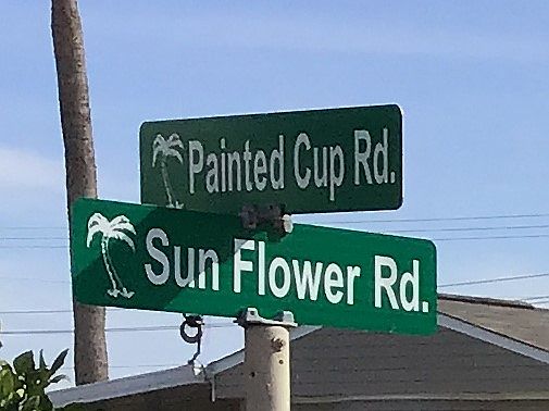 WELCOME TO 381 PAINTED CUP