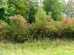 Reynolds Rd, West Farmington, OH 44491