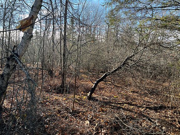 5th image of 181 Gray Meadow Road