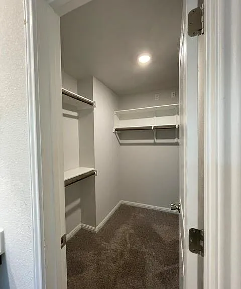 12401 Amber Lynn Path — Photo 13