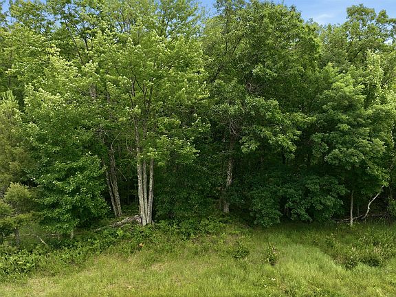 4th image of 0 Goose Lake