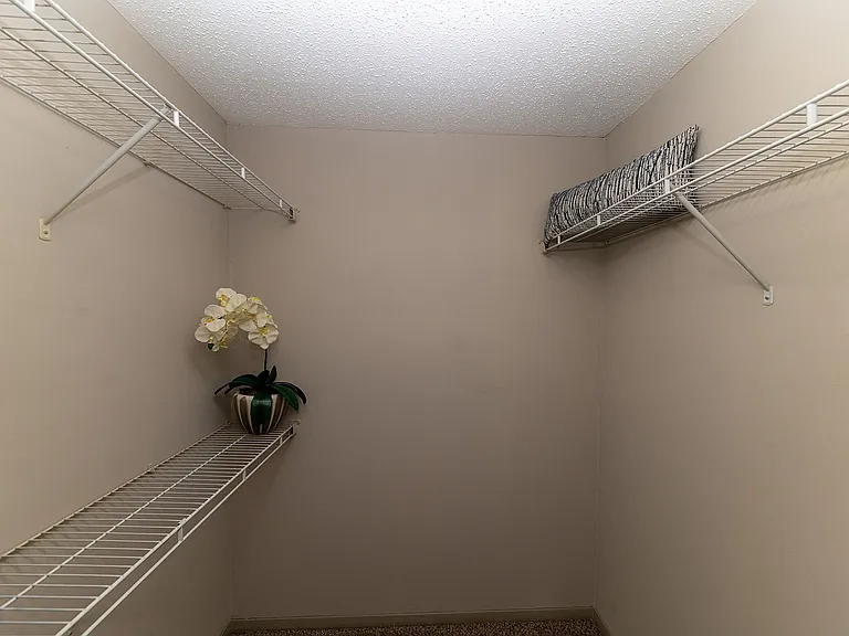 Generous walk-in closet space