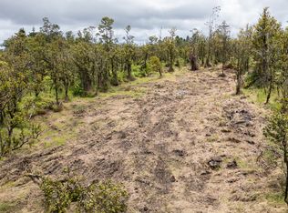 Omeka Rd Lot 22, Volcano, HI 96785