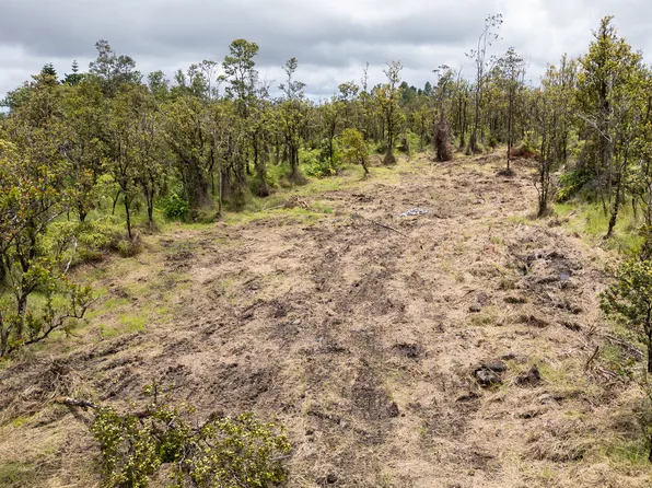 Omeka Rd Lot 22, Volcano, HI 96785