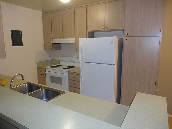 Fully-furnished kitchen