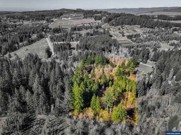 19890 Sharon Tony Way SE, Silverton, OR 97381