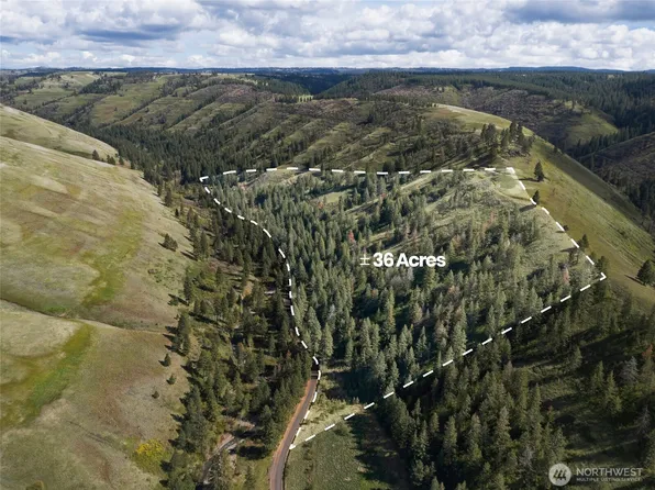 0 S Patit Road, Dayton, WA 99328