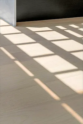 Rented by Dallien Realty Limited Liability Company | media 23