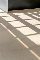 Rented by Dallien Realty Limited Liability Company