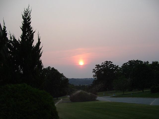 View of front yard looking down street