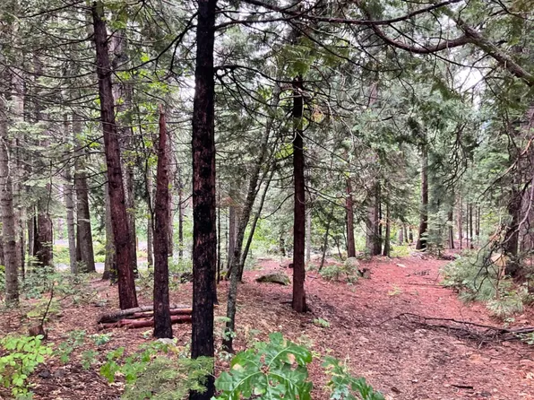 1526 Seminole Way, Arnold, CA 95223