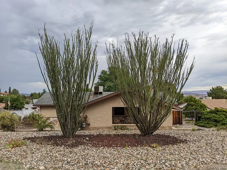 1580 S Destry Ln — Photo 6