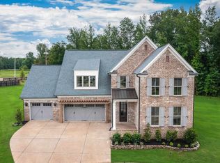 880 Cypress Vine Cv, Collierville, TN 38017