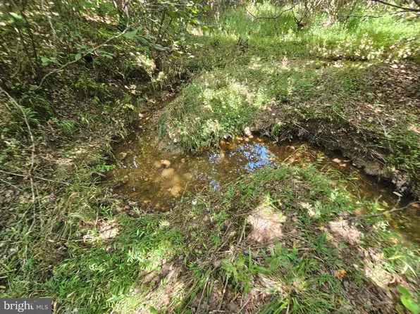 W James Anderson Hwy, Gladstone, VA 24553