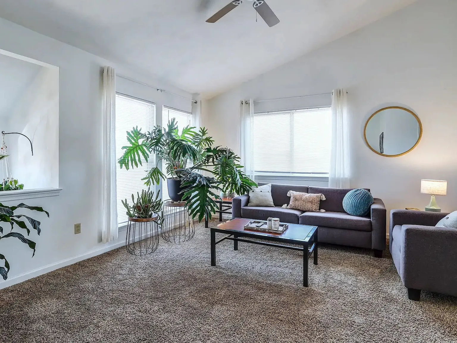 The Fox Townhomes — Photo 2
