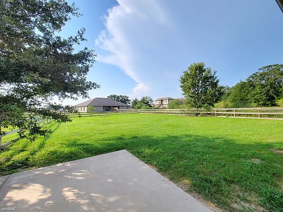 15 - Back yard
