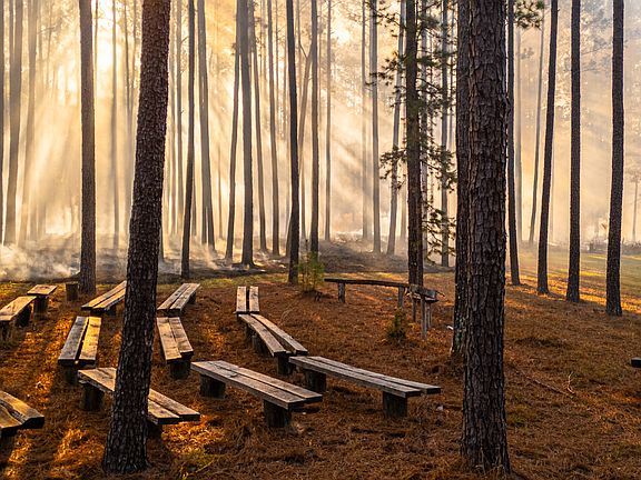 20th image of this home