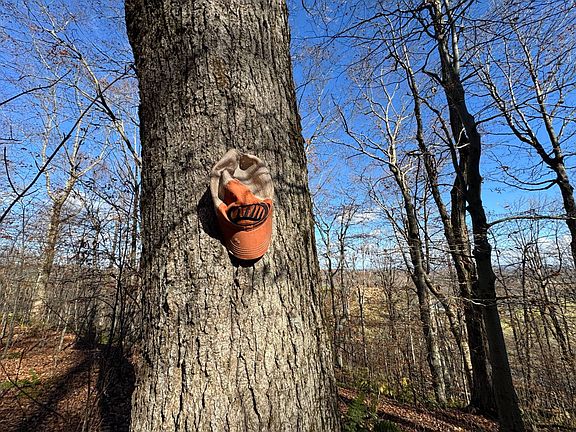 3rd image of 0 E Mountain Rd