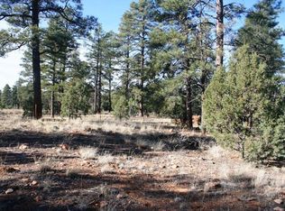 2705 Horseshoe Ct, Overgaard, AZ 85933