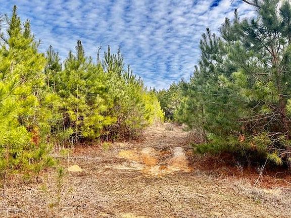 4th image of 27557 Ealum Mill Rd