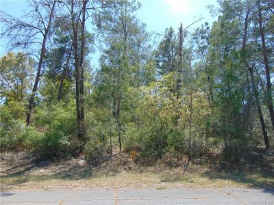 4212 W Haverhill Ln, Citrus Springs, FL, 34433