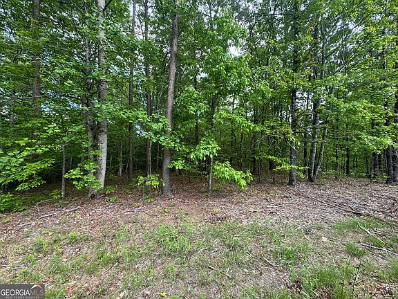 4th image of 1786 Jones Mountain Rd