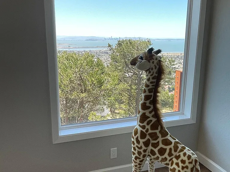 View from the family room. Can you tell we have young grandkids?