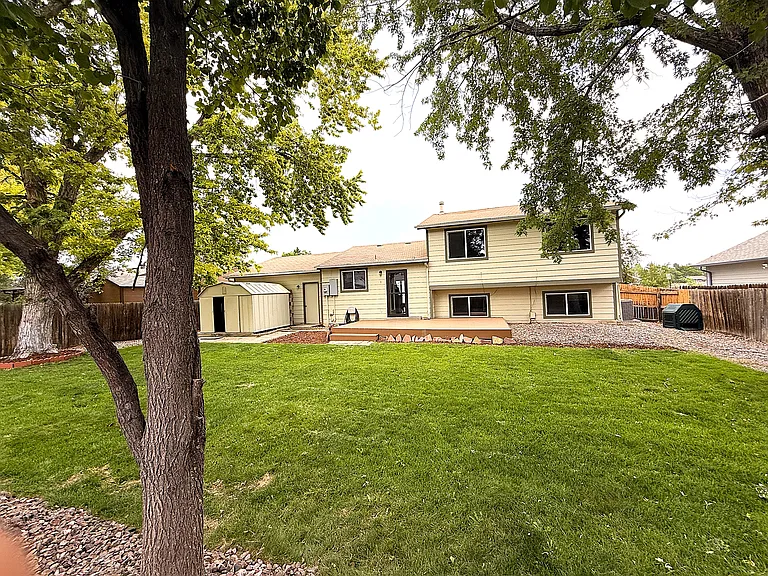 Well kept backyard and large tool shed