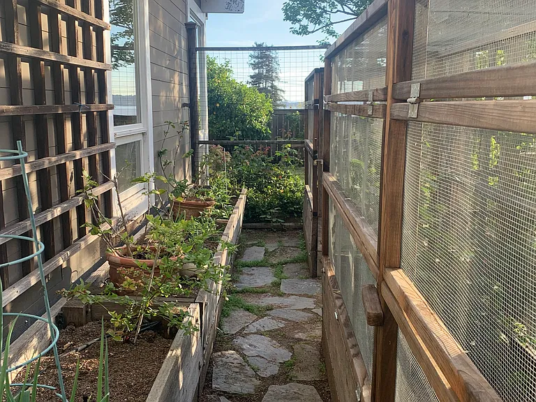 Vegetable garden