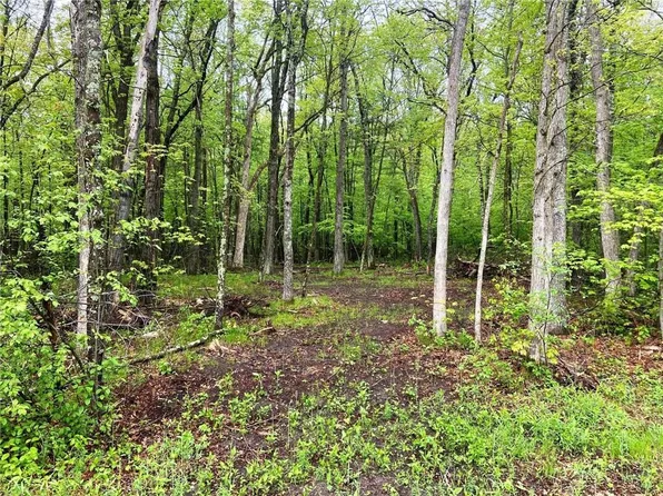XXX Pike Bend Road, Webster, WI 54893