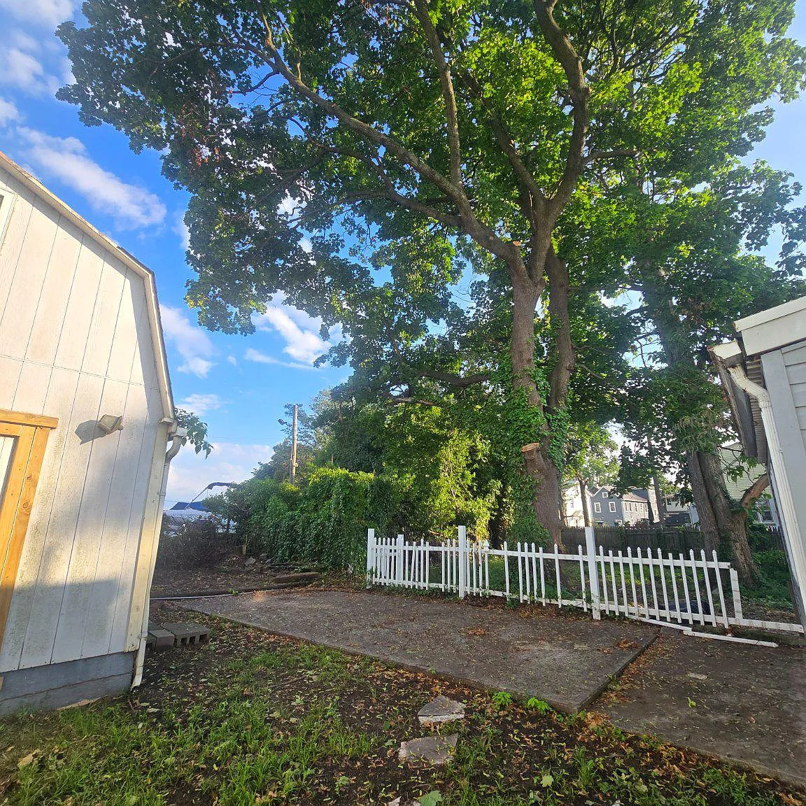 Studio, 1604 sqft, $2,750 — Photo 2
